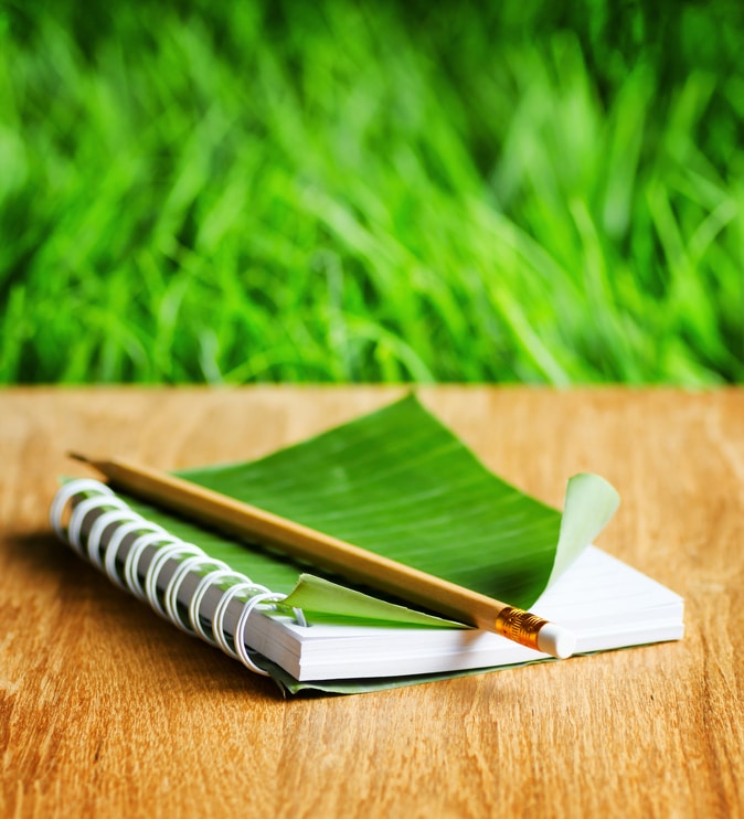 Wenn ich höre, was ich sage…