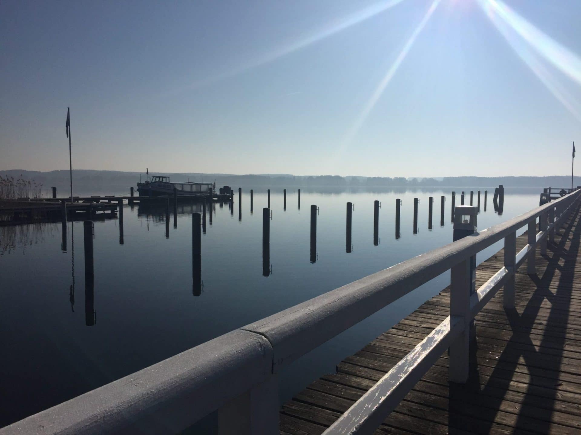 Keine Lust auf Wachstums-Schmerzen