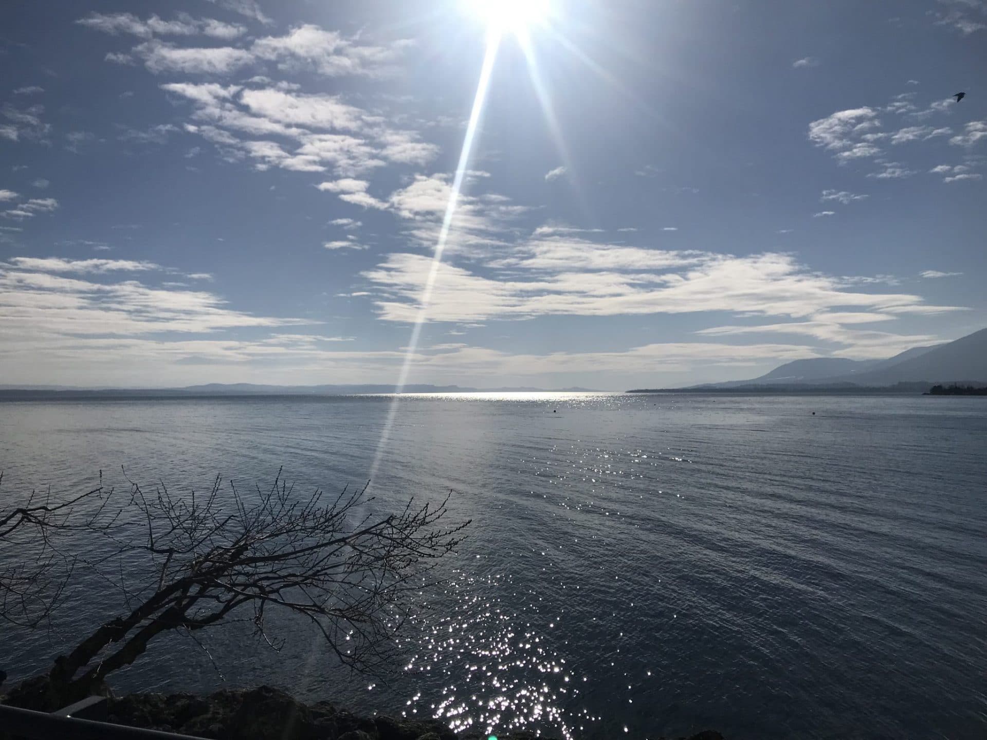 Wenn man immer nur tut, was sich gehört