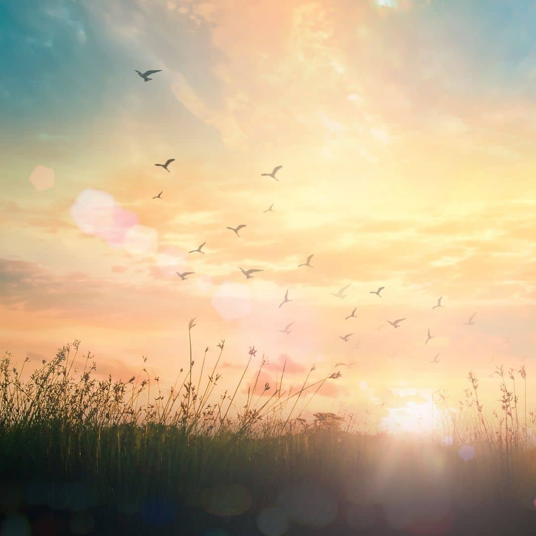 Lago Bianco | Depositphotos | Perreten