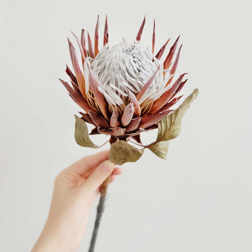 Sabina Hediger Wozus Wohl Gut Ist