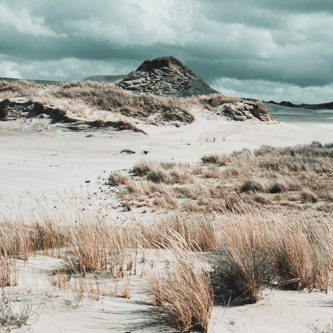 Woran du erkennen kannst, dass du hochsensibel bist (ohne ein Sensibelchen zu sein)