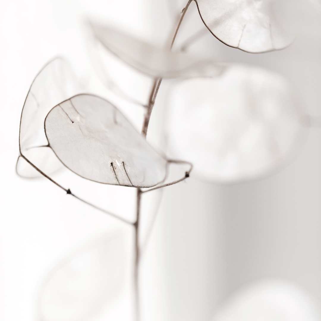 Die Enttäuschung, nicht vorhersehbar zu sein