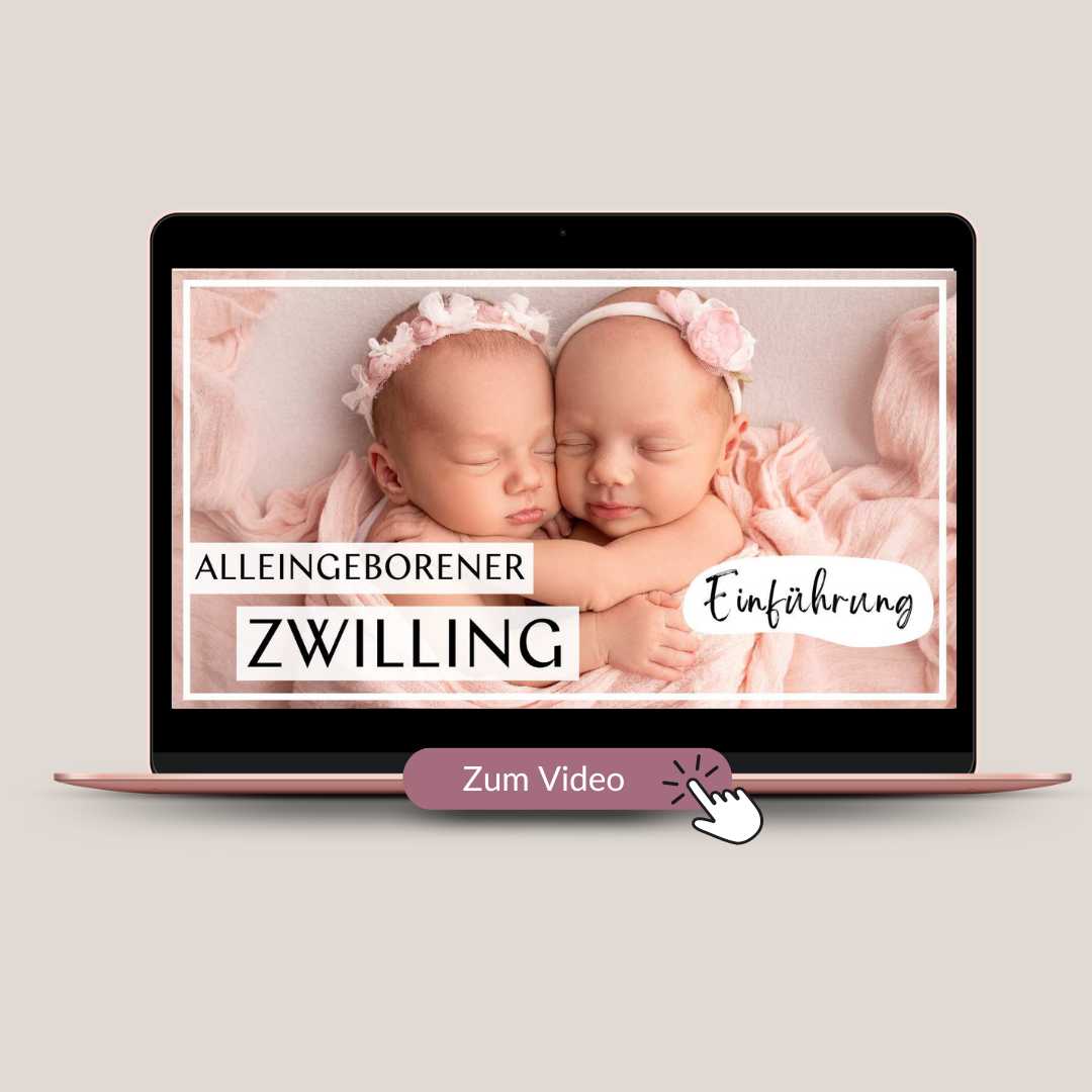 Alleingeborener Zwilling: Einführung