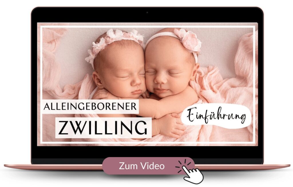 Alleingeborener Zwilling, Einführung